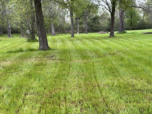 In this image, you can see how running the GPR looks on the grass. Making an imprint similar to that of a lawn mower, Chet and Aundrea covered the entire field, hoping to determine the size of the burial ground.