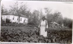 UA0035_Waller_b1f12_1937annualreport_Todd0006