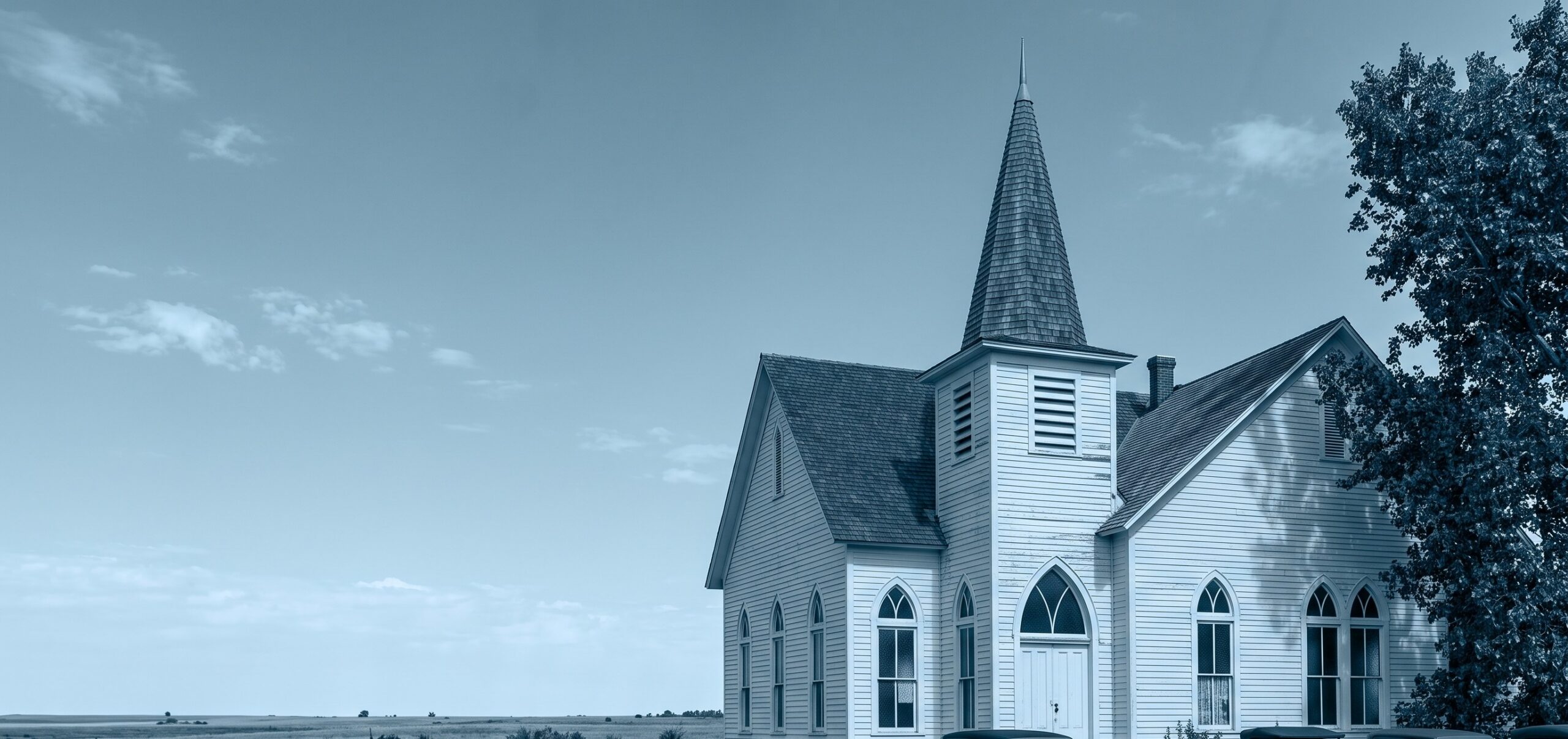 BUMC wide
